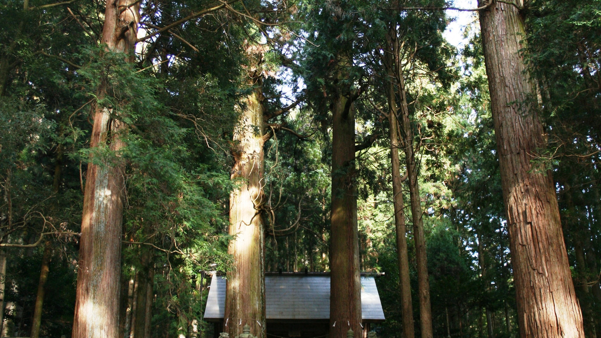 恵那神社（岐阜）の風景