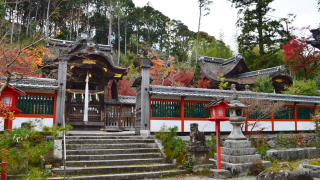 鍬山神社（京都）の風景