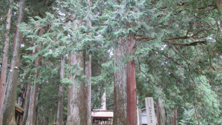 那比新宮神社（岐阜）の風景
