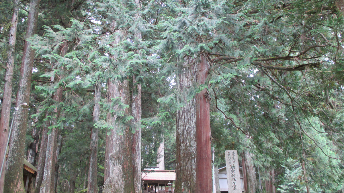 那比新宮神社（岐阜）の風景