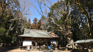 中村八幡宮（栃木）の風景