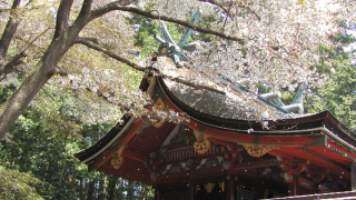 鹽竈神社（宮城）の風景